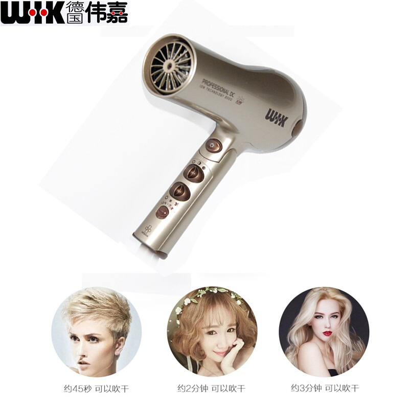 偉嘉（WIK） 德國(guó)電吹風(fēng)機(jī)家用 大功率 負(fù)離子折疊家庭酒店專用吹風(fēng)筒冷熱風(fēng) 5579FDCI香檳金/黑色